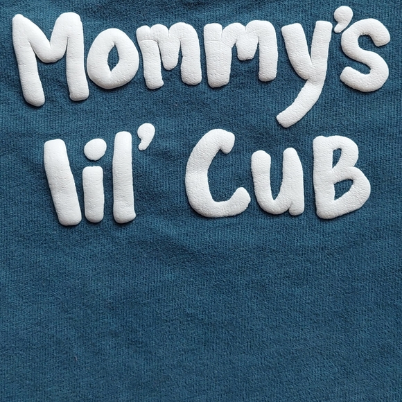 Gymboree 5T bear / hedgehog tees - Picture 6 of 16